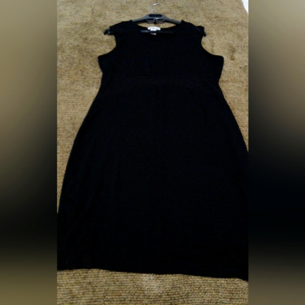 Charlotte Russe Black mesh mini dress. Size XL. Pre-owned.